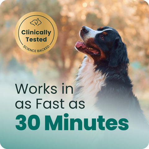 VetriScience Calm & Confident Chews for Dogs, Chicken, 120 Count