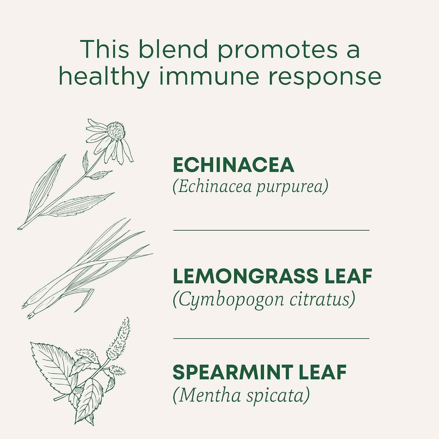 Traditional Medicinals Organic Echinacea Plus Spearmint, 96 Tea Bags | Promotes Immune Function, w/Spearmint, Kosher, Non-GMO, Caffeine-Free, Compostable