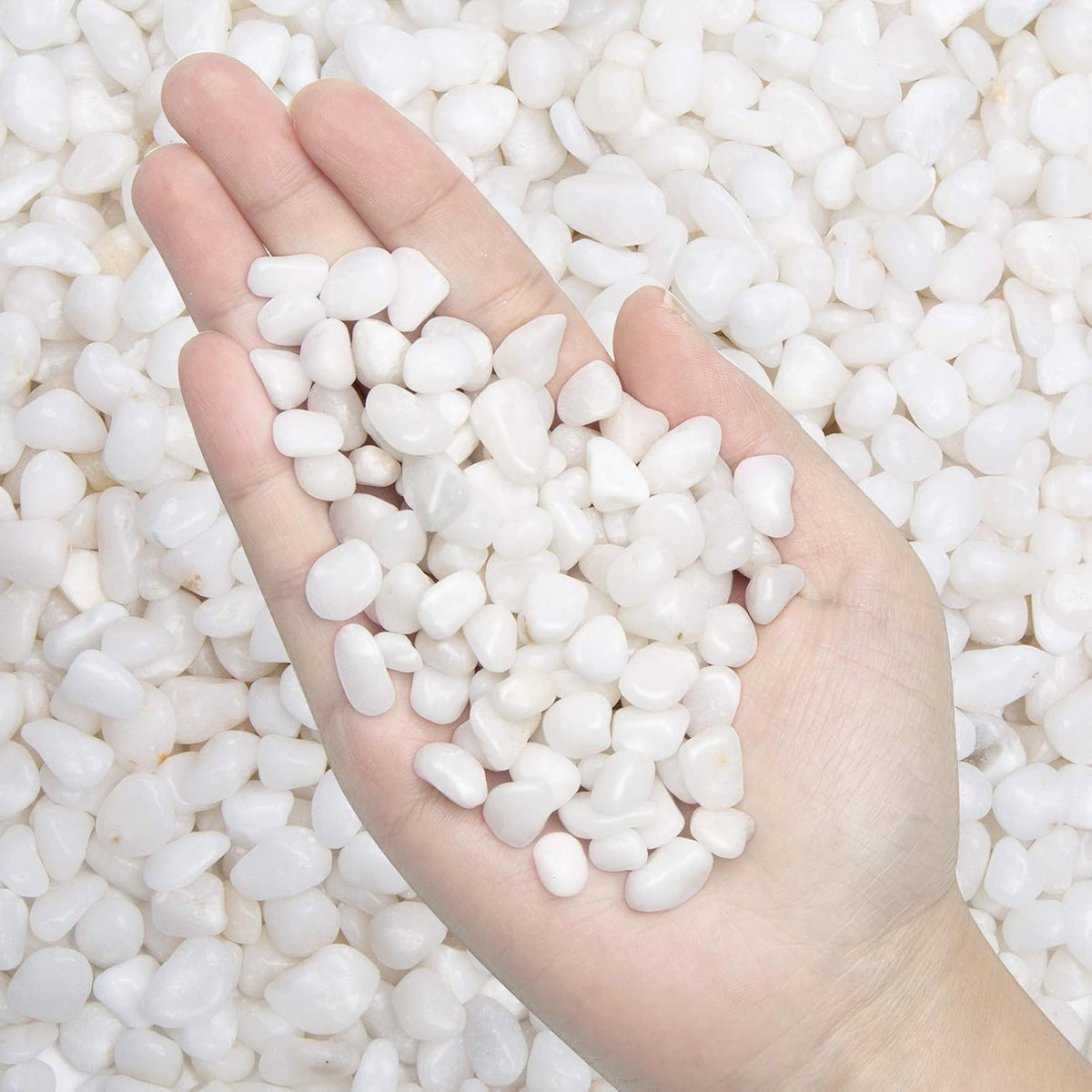 Natural Polished Decorative White Pebbles - 2 LB Small Stones 3/8" Gravel Size,River Rocks Pebbles for Plants, Home DIY Decor,Aquarium Gravel,Vase Fillers,Fairy Garden,Landscaping Outdoor Stones