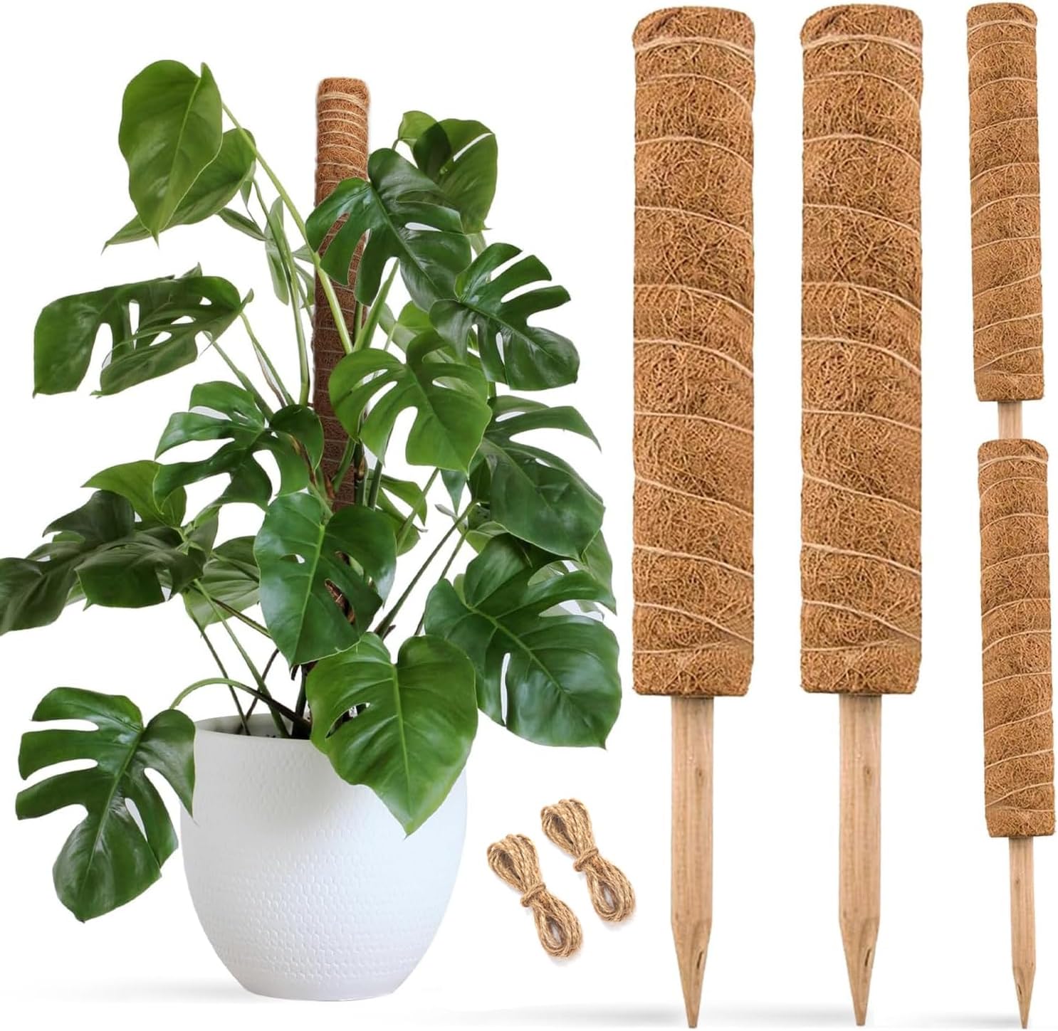 JOYSEUS 30 Inch Moss Pole for Climbing Plants - 2 Pack 15 Inch Coir Totem Pole Plant Support with 65 Feet Garden Twist Tie for Monstera and Potted Plants to Grow Upwards…