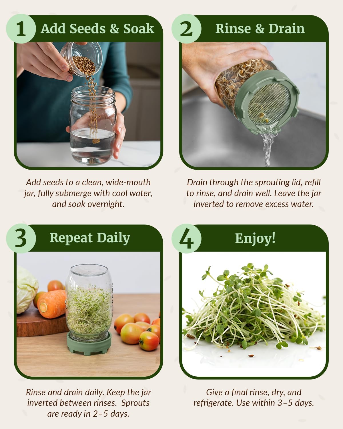 Elementi Sprouts Growing Kit for Wide Mouth Mason Jars, Set of 2 Sprouting Lids for Organic Alfalfa & Mung Bean Sprouts Grow Kit, 316 Stainless Steel Mesh Screen Strainer Lid (Sage Green)