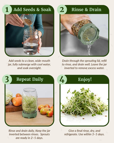 Elementi Sprouts Growing Kit for Wide Mouth Mason Jars, Set of 2 Sprouting Lids for Organic Alfalfa & Mung Bean Sprouts Grow Kit, 316 Stainless Steel Mesh Screen Strainer Lid (Sage Green)