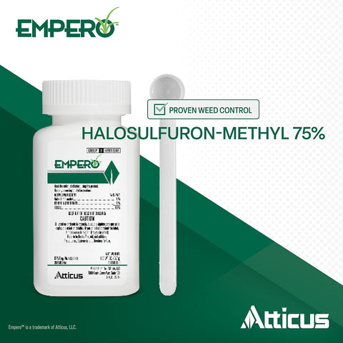 Atticus Empero Nutsedge Killer (1.33 oz) Halosulfuron Herbicide Concentrate