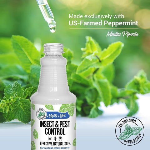 Mighty Mint Peppermint Oil Insect Repellent Spray, 16 oz, Pack of 2