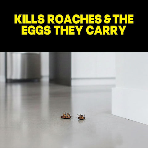 Raid Large Roach Baits, Child Resistant, For Indoor Use, Kills Roaches for 3 Months, 12 Count