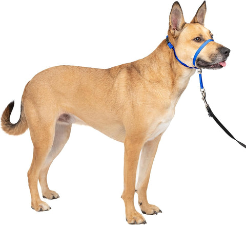 PetSafe Gentle Leader No Pull Dog Headcollar, Royal Blue, Medium