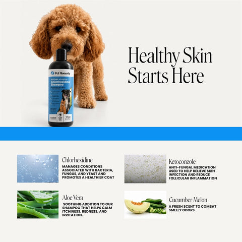 Pet Honesty Chlorhexidine Cat & Dog Seasonal Itch Relief Shampoo, for Allergies, Itching, Skin and Coat Supplement, Helps Shedding, Hot Spots, Deodorizing Dog Shampoo & Grooming Supplies,16oz