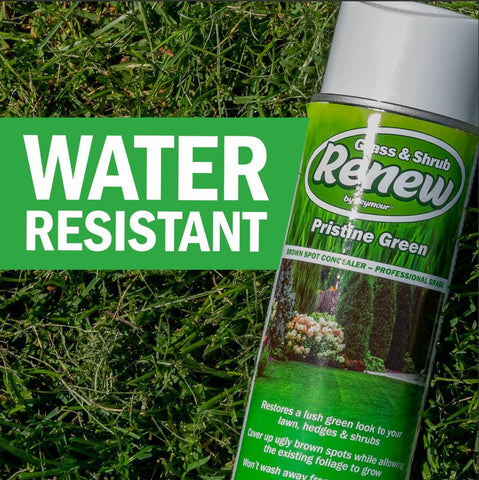 Seymour RENEW Grass and Shrub Spray Paint, Pristine Green, 17 oz. Can.