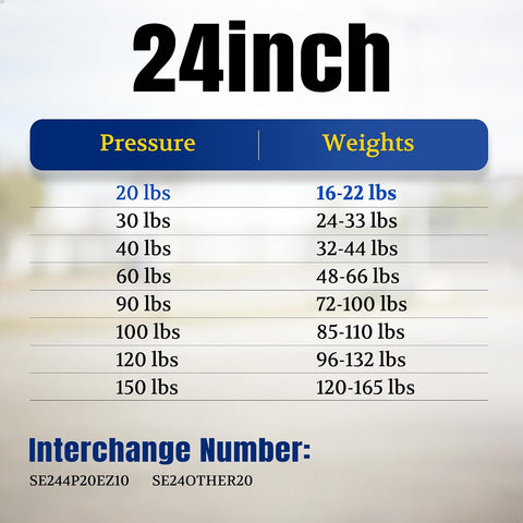 ARANA 24 inch 20lb Gas Struts for RV Bay Door, 2 Pack