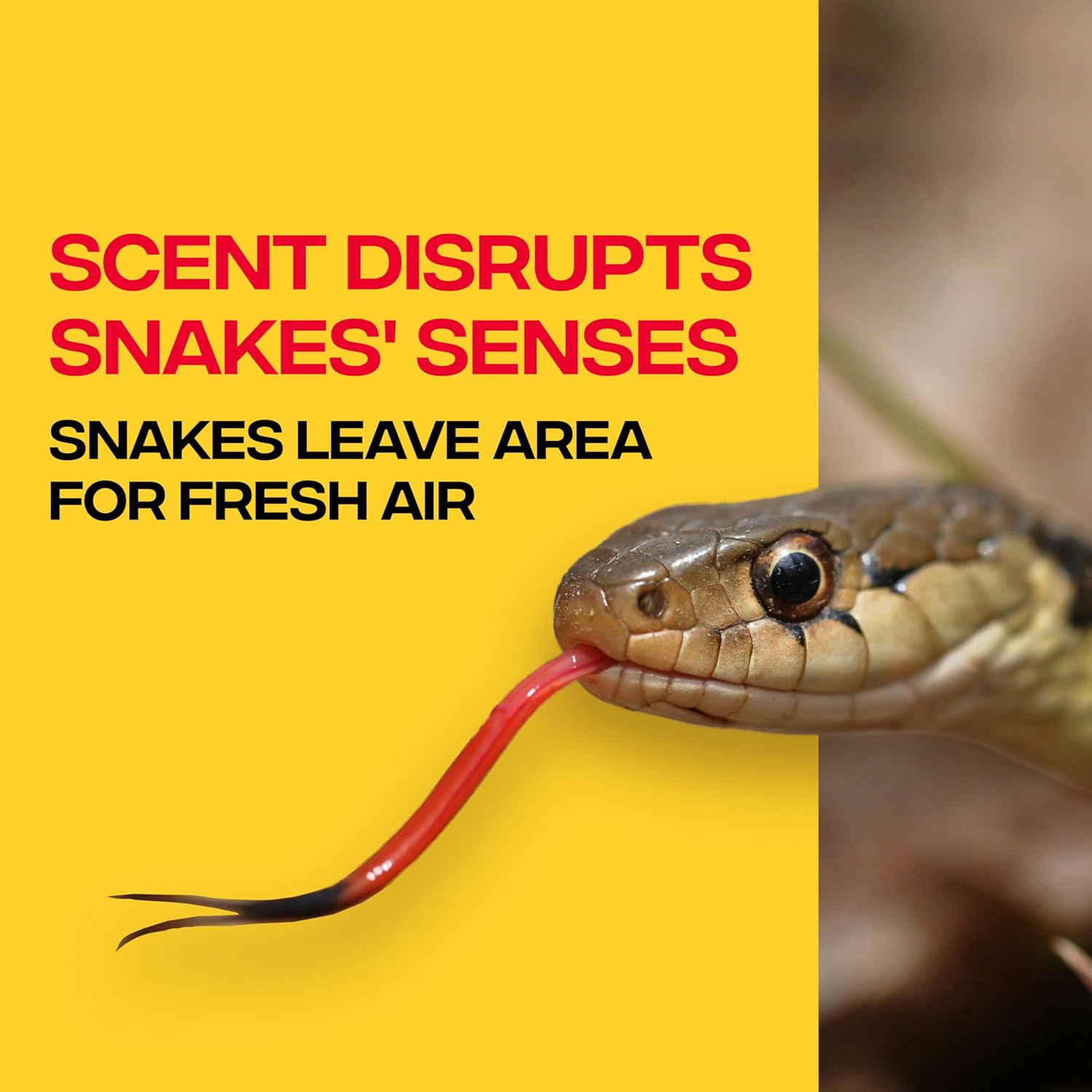 Victor Snake-A-Way Outdoor Snake Repellent Granules for Yard, 4 lb Bag