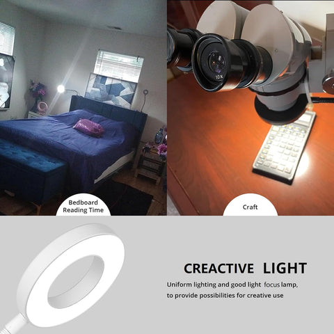 Woputne Desk Lamp Clip on Desk Reading Lights for Books in Bed (White)