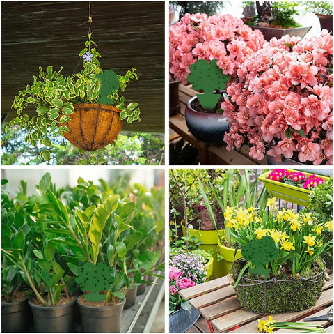 58 Pack Gnat Killer Sticky Traps for Plants - Green Fungus Gnat Sticky Trap for Indoor Houseplants, Fruit Fly, Whitefly, Aphid - Family Friendly Design, Flower/Cloud or Sunflower/Butterfly