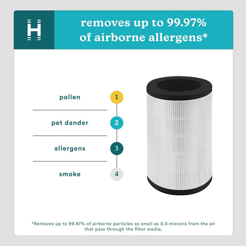 Homedics TotalClean 3-in-1 True HEPA Filter Replacement for Air Purifier