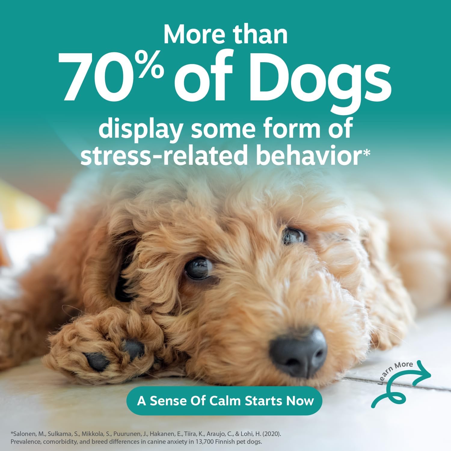 Zesty Paws Advanced Calming Chews for Dogs - Melatonin, Bacon, 90 Ct
