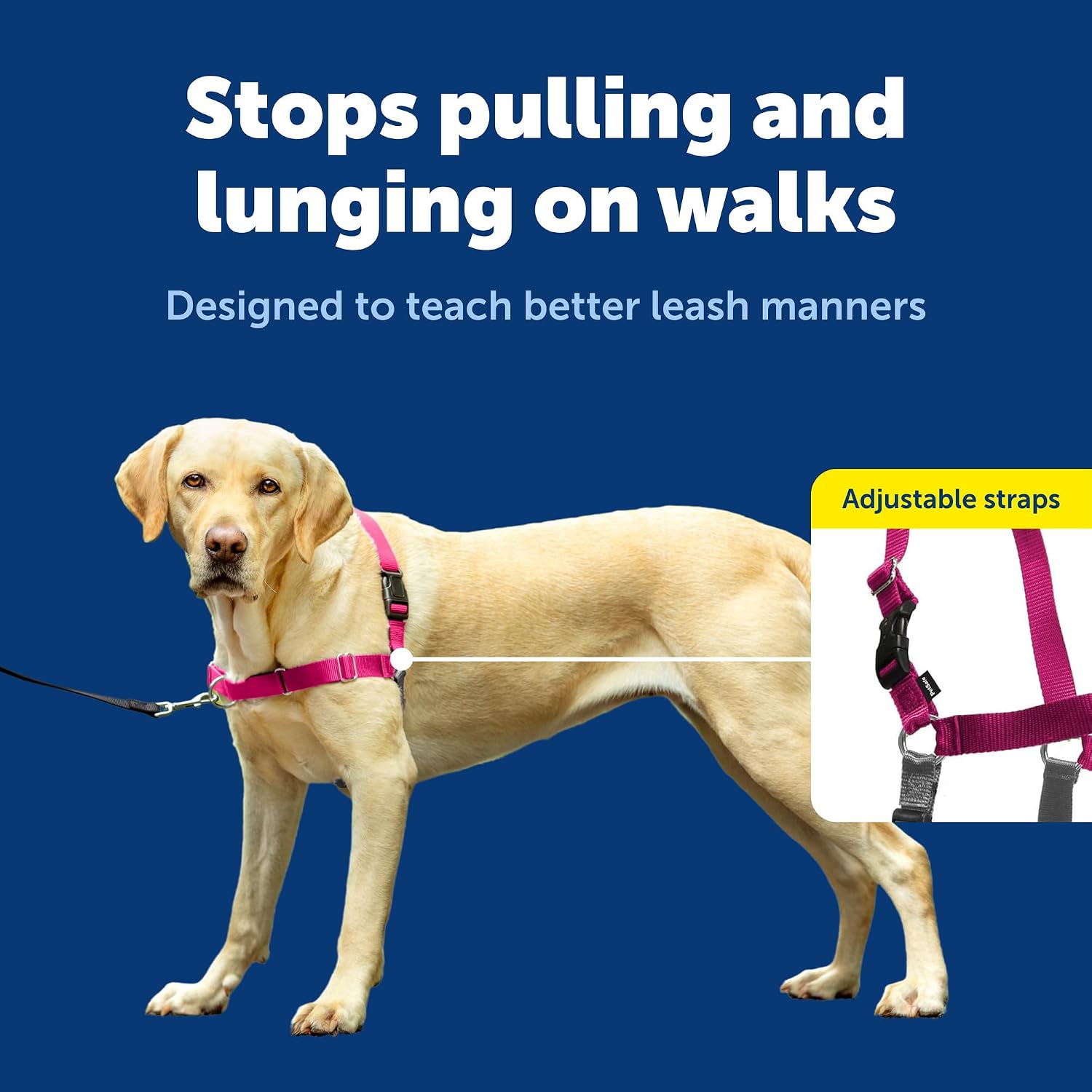 PetSafe Easy Walk Harness, No Pull Dog Harness, Raspberry, Large