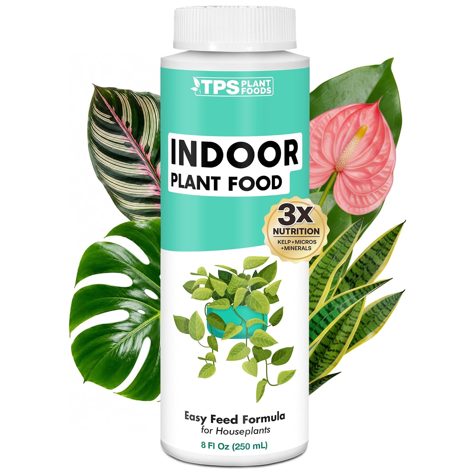 Indoor Plant Food, Complete Liquid Fertilizer for Houseplants, 8oz