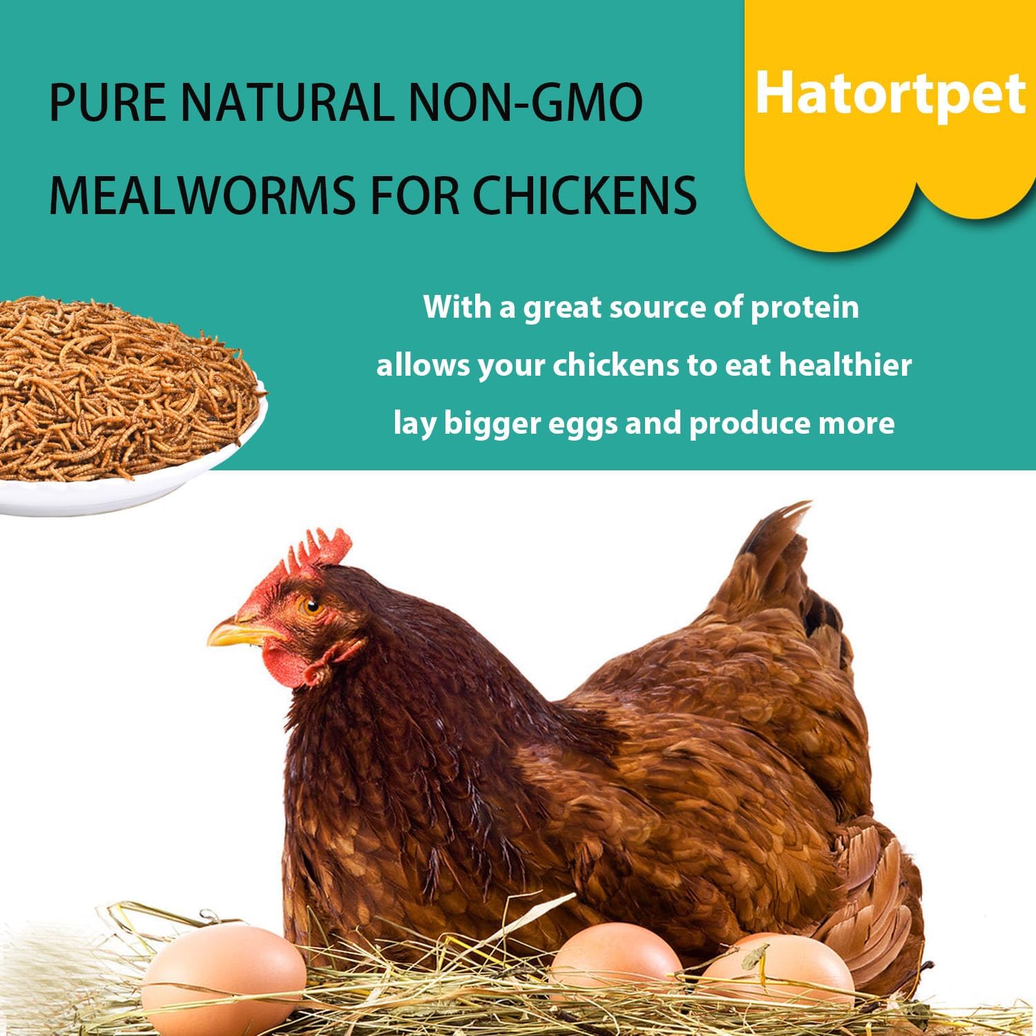 Dried Mealworms 5LB Pure Natural Chicken Treats for Laying Hens Wild Birds