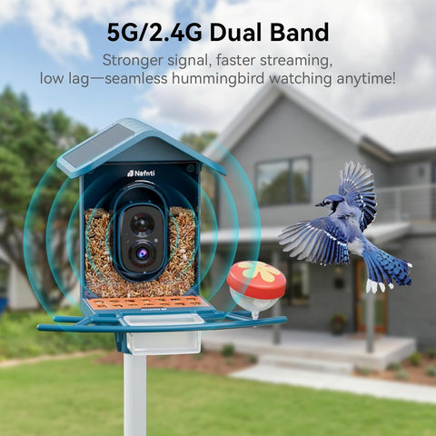 Smart Bird Feeder with Camera 5GHz WiFi Solar Powered, AI Bird ID