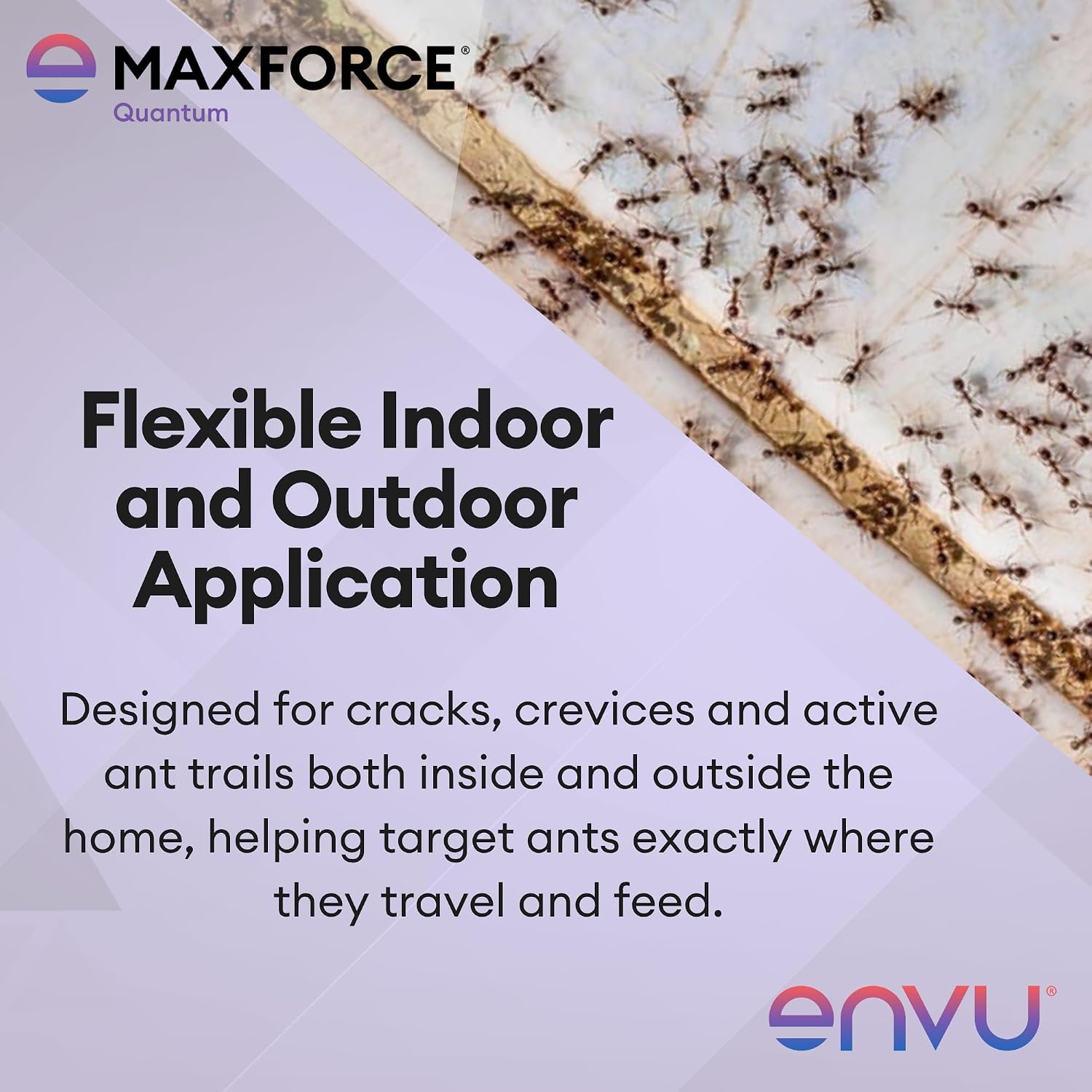 Maxforce Quantum Ant Bait 120 gram Tube | Ant Gel for Indoor and Outdoor Use | Ant Bait for Ant Colony Control | Effective Against Many Nuisance Ant Species