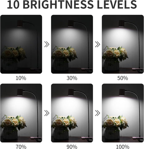Dott Arts Desk Lamp,USB Clip On Light with 3 Color Modes,LED Reading Lamp