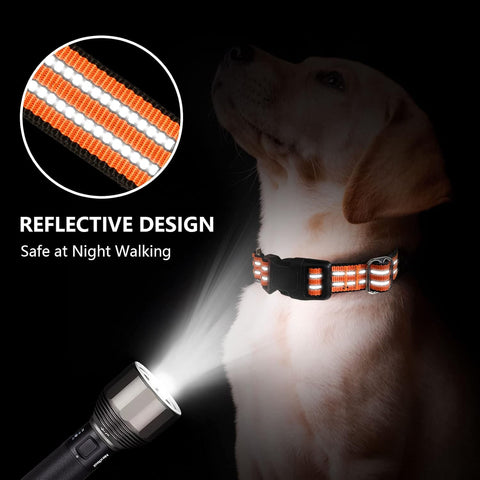 Martingale Collar for Dogs,Reflective Escape Proof,Orange,L