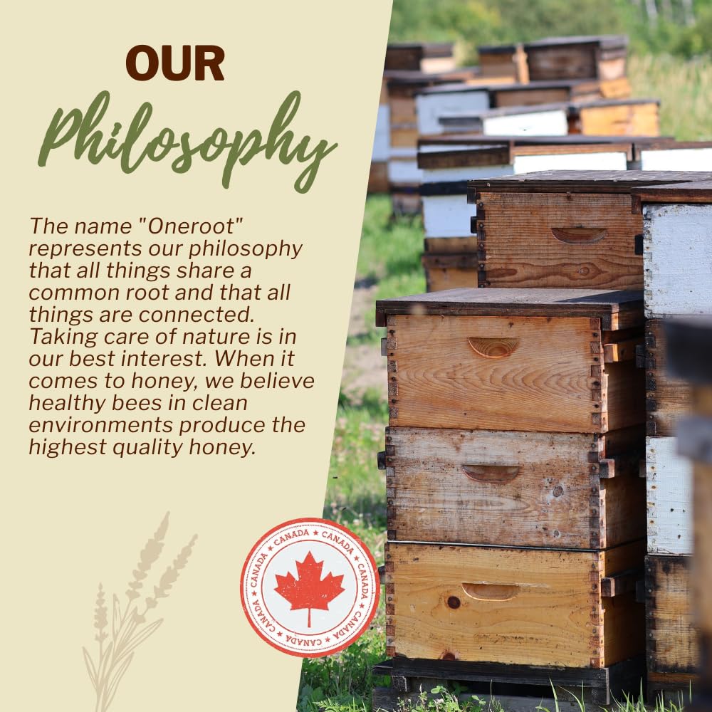 OneRoot Raw Buckwheat Honey – 6.6 lbs, Unheated & Unprocessed Dark – Nutrient-Rich, Antioxidant-Packed Natural Sweetener – Pure & Unfiltered Honey