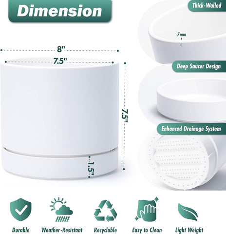 Phoenix Vine 8 Inch Planter Pot with Drainage Hole & Saucer, Deep Water Catch Tray, Straight Cylindrical Round Pot for Plants, Matte White, Pack of 2, 23-B-T-2