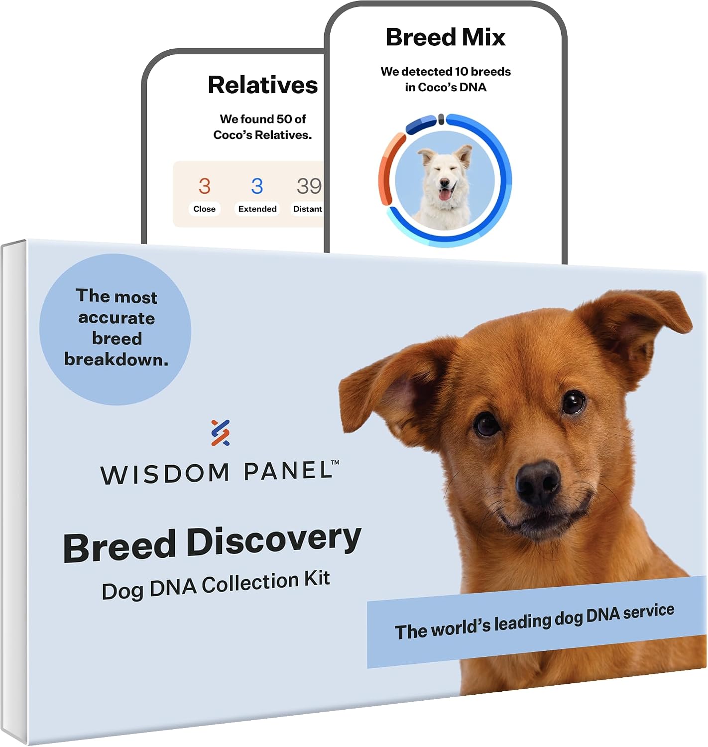 Wisdom Panel Breed Discovery Dog DNA Test Kit 430+ Breeds, MDR1 Health Test