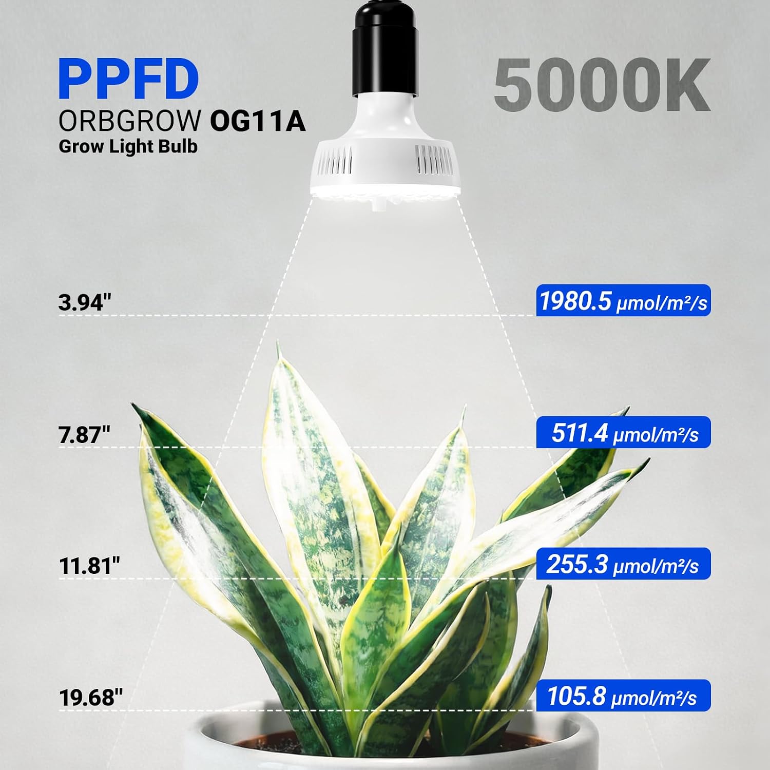 Barrina Orbgrow OG11A4 Clip On Grow Light for Indoor Plants, 5000K 44W