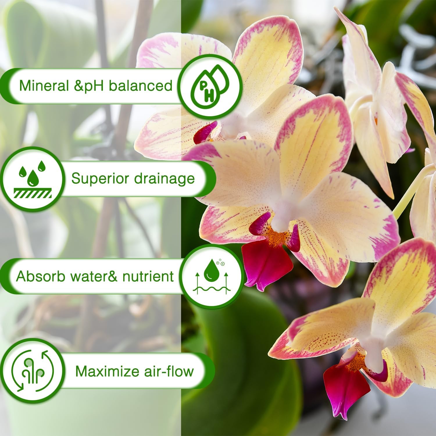 Orchid Bark Potting Mix,Premium Orchid Potting Mixture of Pine Bark,Perlite