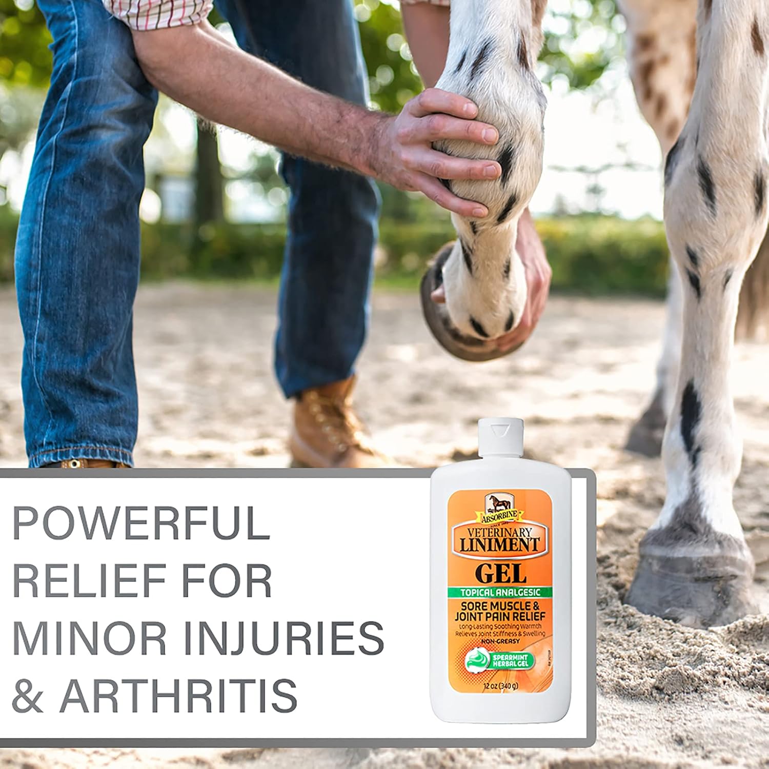 Absorbine Veterinary Liniment Gel, 12 oz Bottle