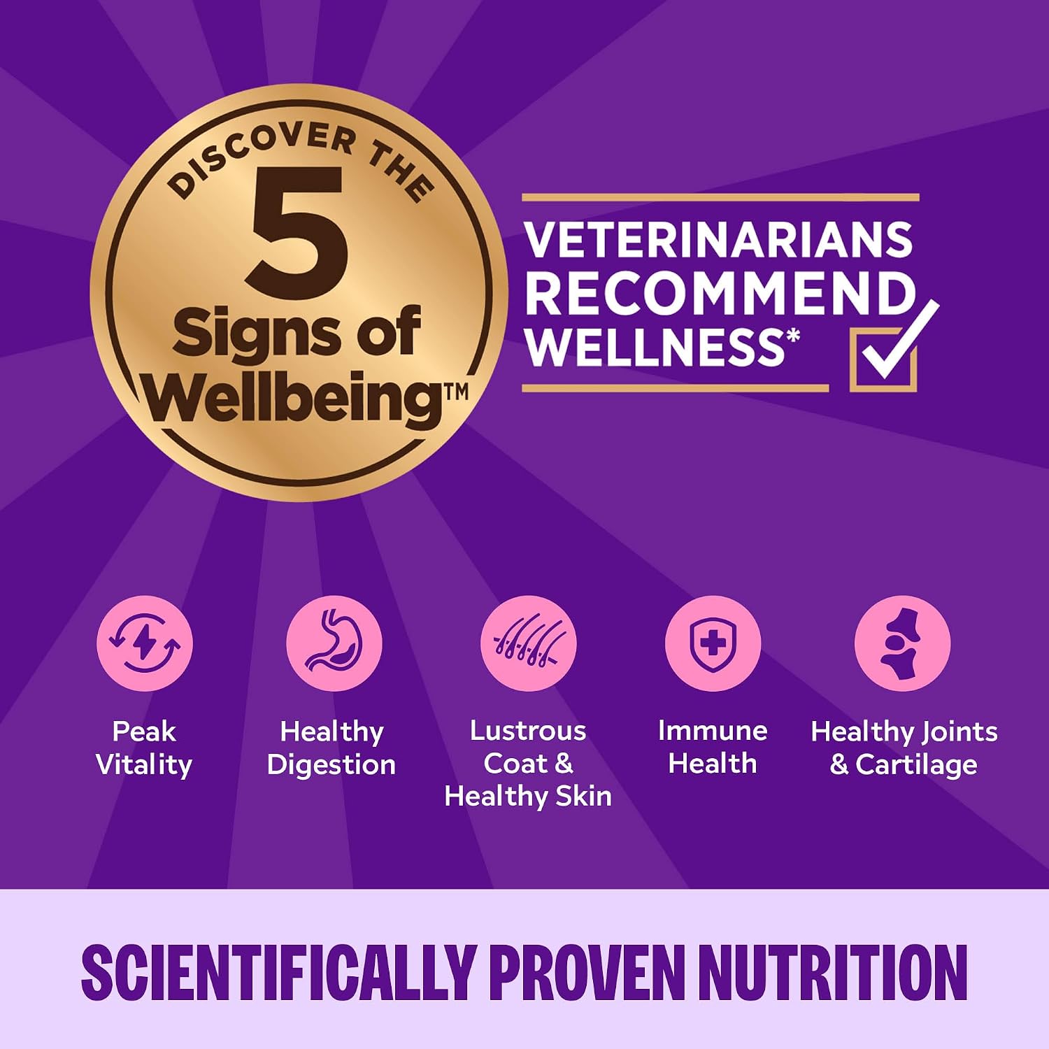 Wellness Complete Health Gravy and Minced Variety Pack Adult Canned Wet Cat Food, Natural, Protein Rich, Grain Free, Chicken and Turkey Lovers, 3 oz, Pack of 24 Cans