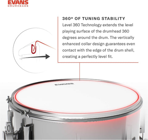 Evans Hydraulic Drum Heads - B14HBG - Drum Head with Layer of Oil - Supresses Unwanted Overtones - Ideal for Rock, Metal, & Funk - Black, 14 Inch