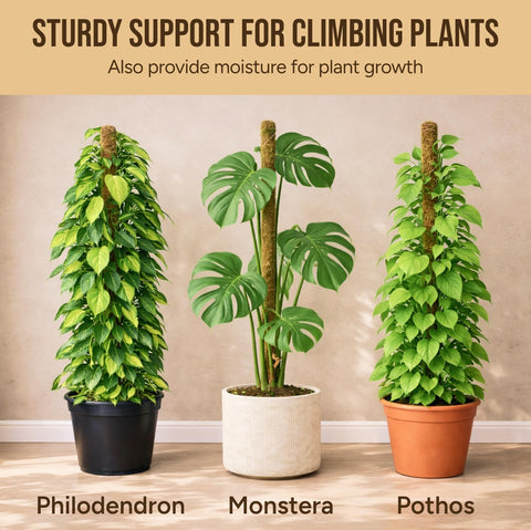 Craft911 29" Moss Pole Monstera Plant Support, Indoor Plant Stakes