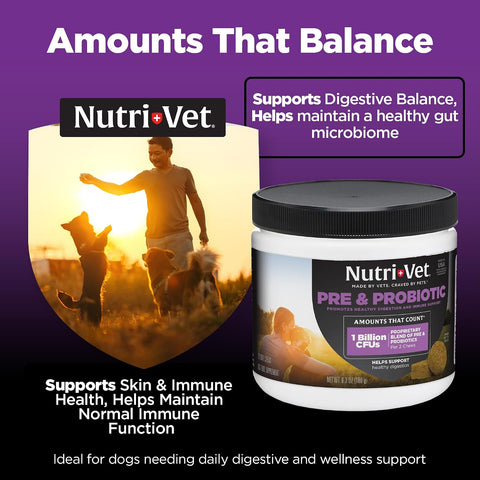 Nutri-Vet Pre & Probiotics for Dogs, Dog Probiotics, 120 Soft Chews