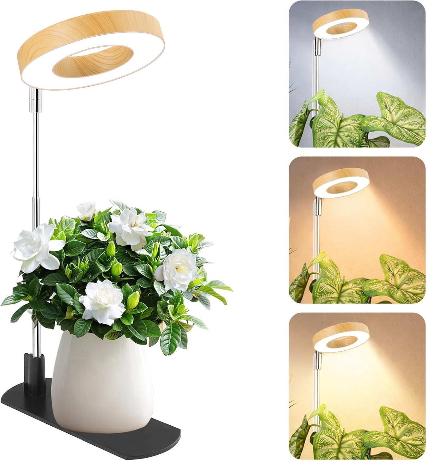 LBW Grow Lights for Indoor Plants, Full Spectrum Halo Grow Light with Base