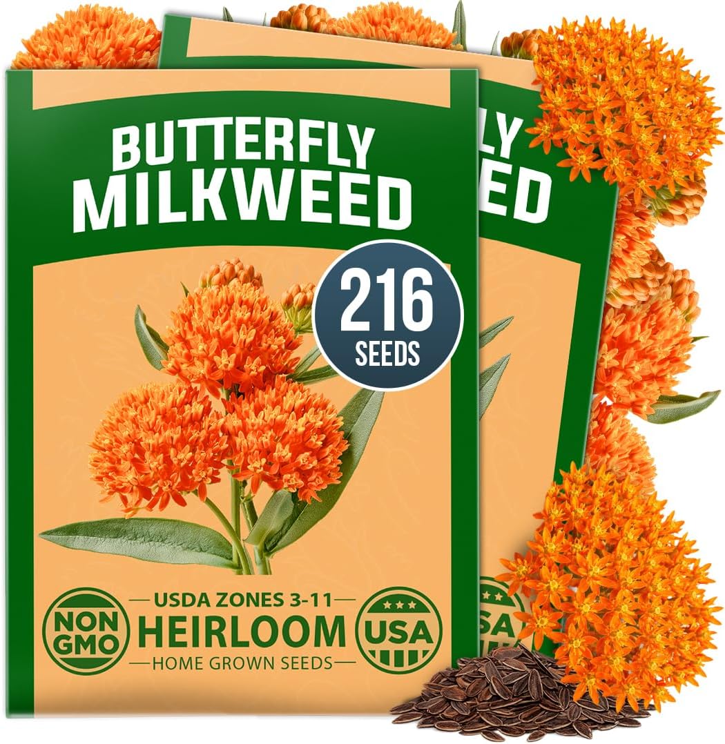 HOME GROWN Butterfly Milkweed Seeds for Planting, 2 Pack,Asclepias tuberosa