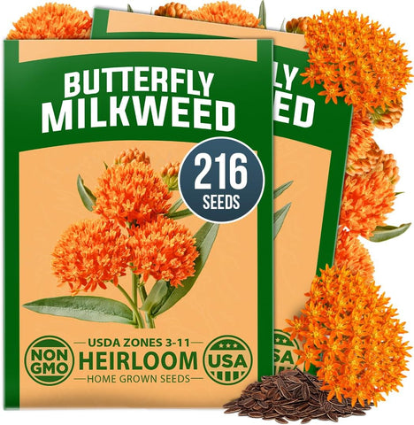 HOME GROWN Butterfly Milkweed Seeds for Planting, 2 Pack,Asclepias tuberosa