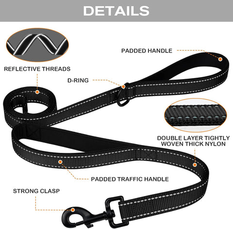 Joytale Dog Leash for Large Dogs that Pull, Double Handle, 6FT, Black