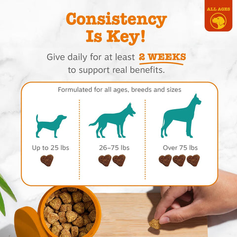 Zesty Paws Advanced Calming Chews for Dogs - Melatonin, Bacon, 90 Ct