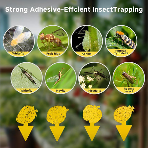 Fruit Fly & Fungus Gnat Traps 40 Pack, Yellow Sticky Traps