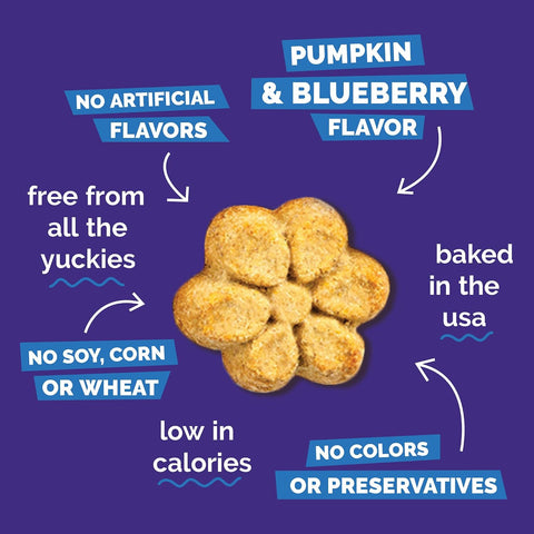 Fruitables Baked Dog Treats, Low Calorie Treats, Pumpkin & Blueberry, 20oz