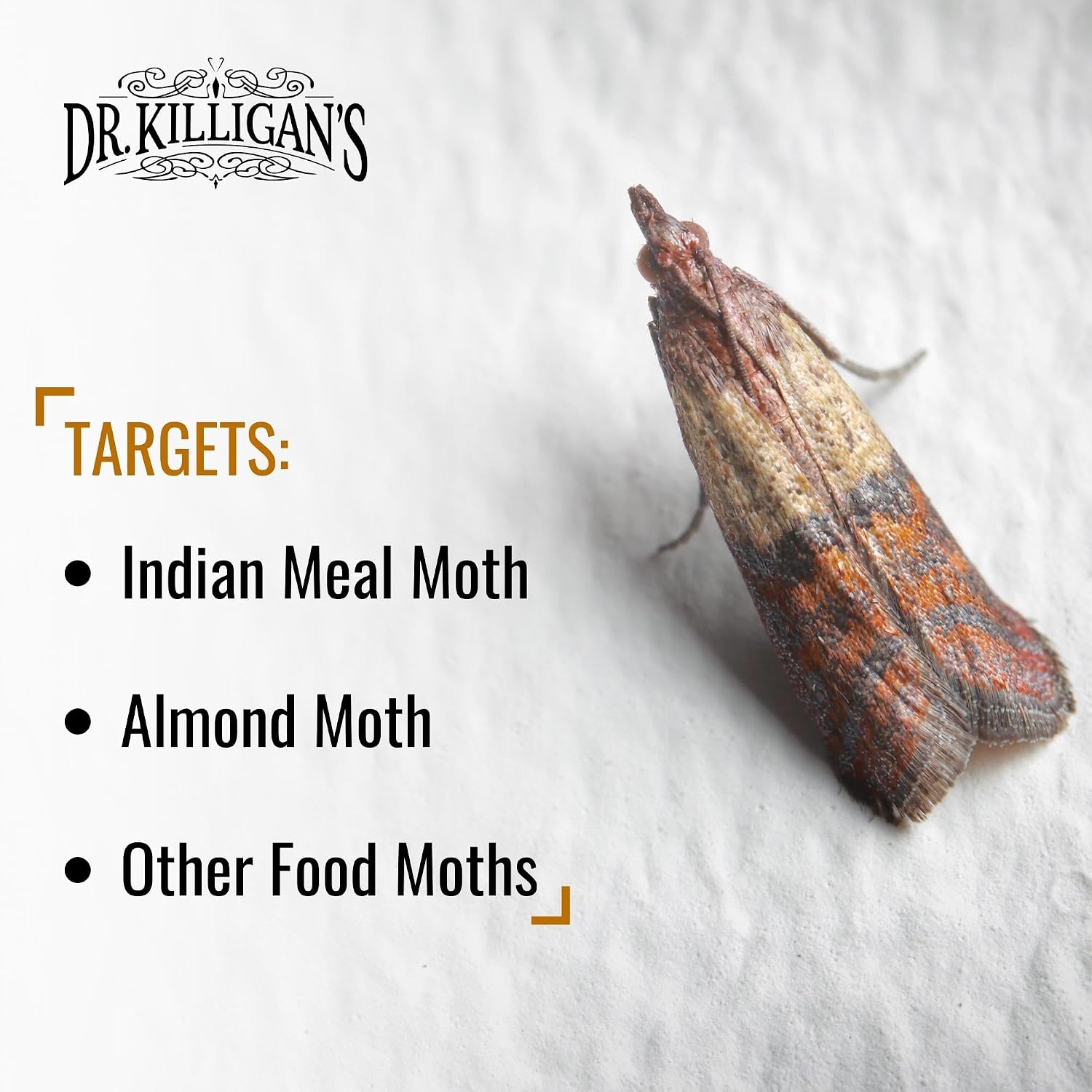 Dr. Killigan's Pantry Moth Traps with Pheromones Prime, 20 Pack, Black