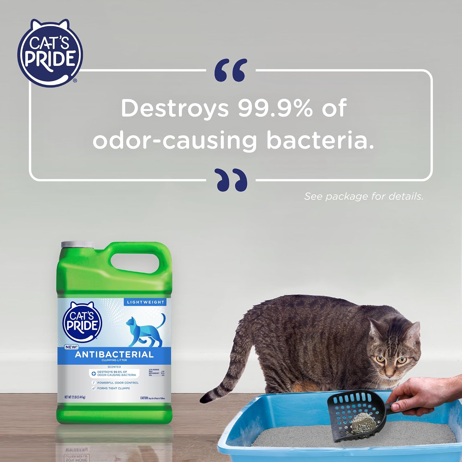 Cat's Pride Antibacterial Litter, Odor-Eliminating Scented 12lb