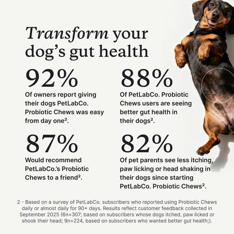 PetLab Co. Probiotic Chews for Dogs, 30 Soft Chews, Salmon