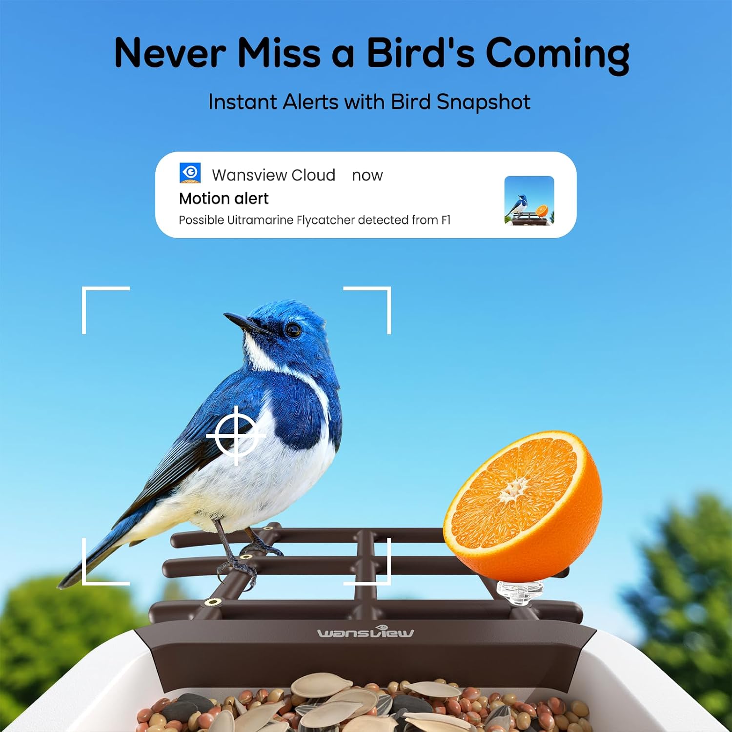 wansview 2K Bird Feeder with Camera Solar Powered, 2.4G WiFi, F1 Brown