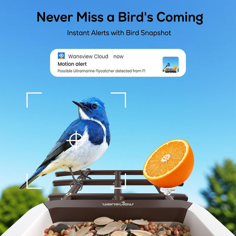 wansview 2K Bird Feeder with Camera Solar Powered, 2.4G WiFi, F1 Brown