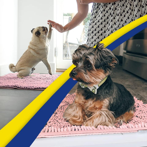 Muddy Mat® | Super Water Absorbent Door Mat Indoor, Microfiber Quick Dry Chenille Entryway Rug, Slip Resistant Front Door Mat, Indoor Mats for Entryway, Machine Washable Pet Rug, Pink 2ft x 4ft
