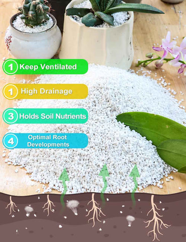 TOYPOPOR Perlite for Plants, (3qt) 3-6mm Organic Perlite for Gardening, Perlite for Plants Indoor, Soil Additive Conditioner Mix Improve Drainage and Ventilation Promote Root Growth and Soil Health