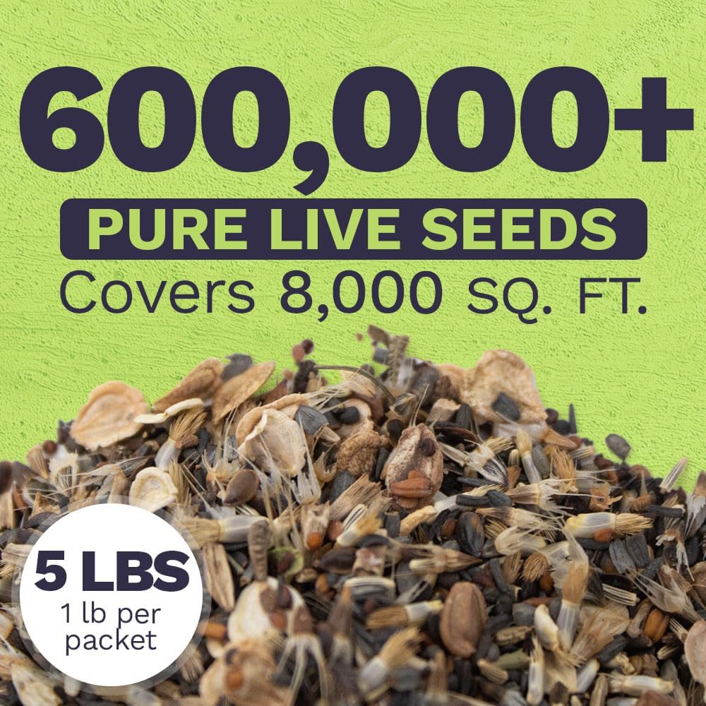 Drought Tolerant Wildflowers Mix – Bulk 5 Pounds – Over 600,000 Open Pollinated Non-GMO Seeds – 21 Different Dryland Species